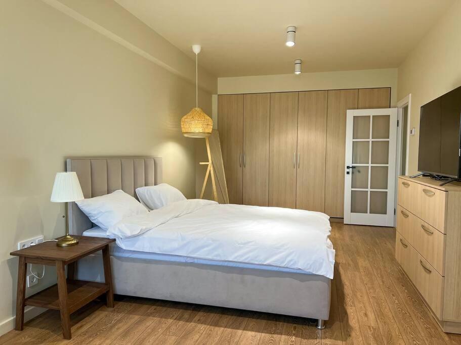 2 Bedroom On Ismail Corner Stefan Cel Mare, New Apartment, Chisinau Center! Ngoại thất bức ảnh